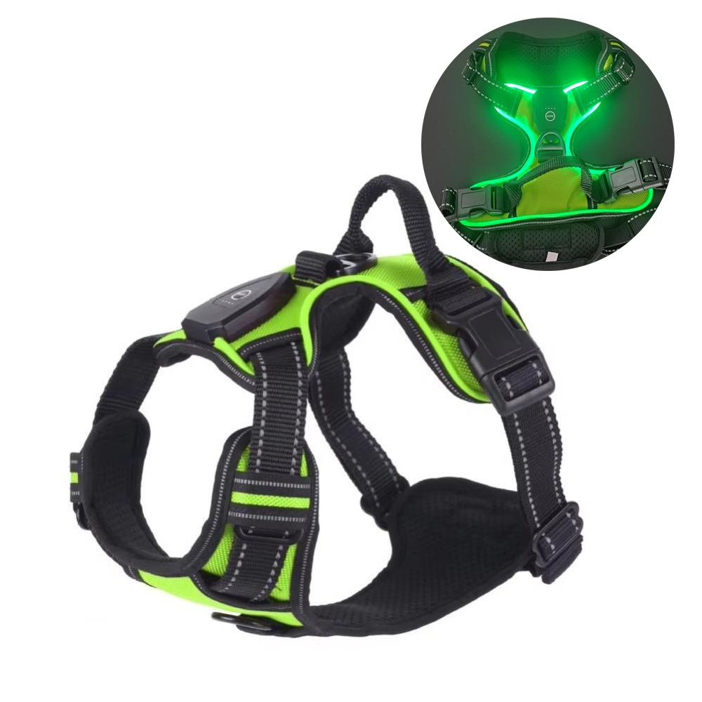 Tech Dog Accessories - حزام كلب مضيء متين قابل للتعديل