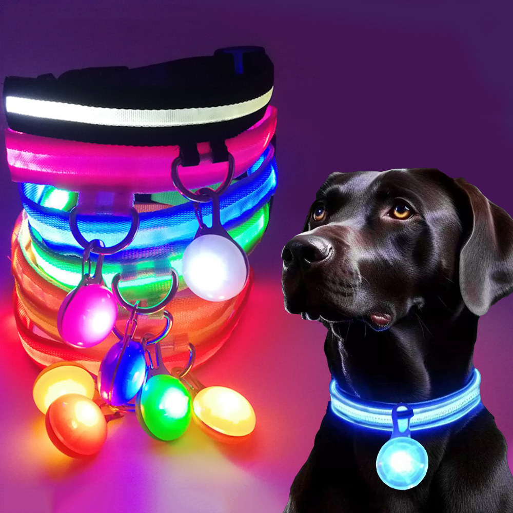 Usb شحن متوهجة طوق بكلاب مع قل - مراجعة Tech Dog Accessories وسعره