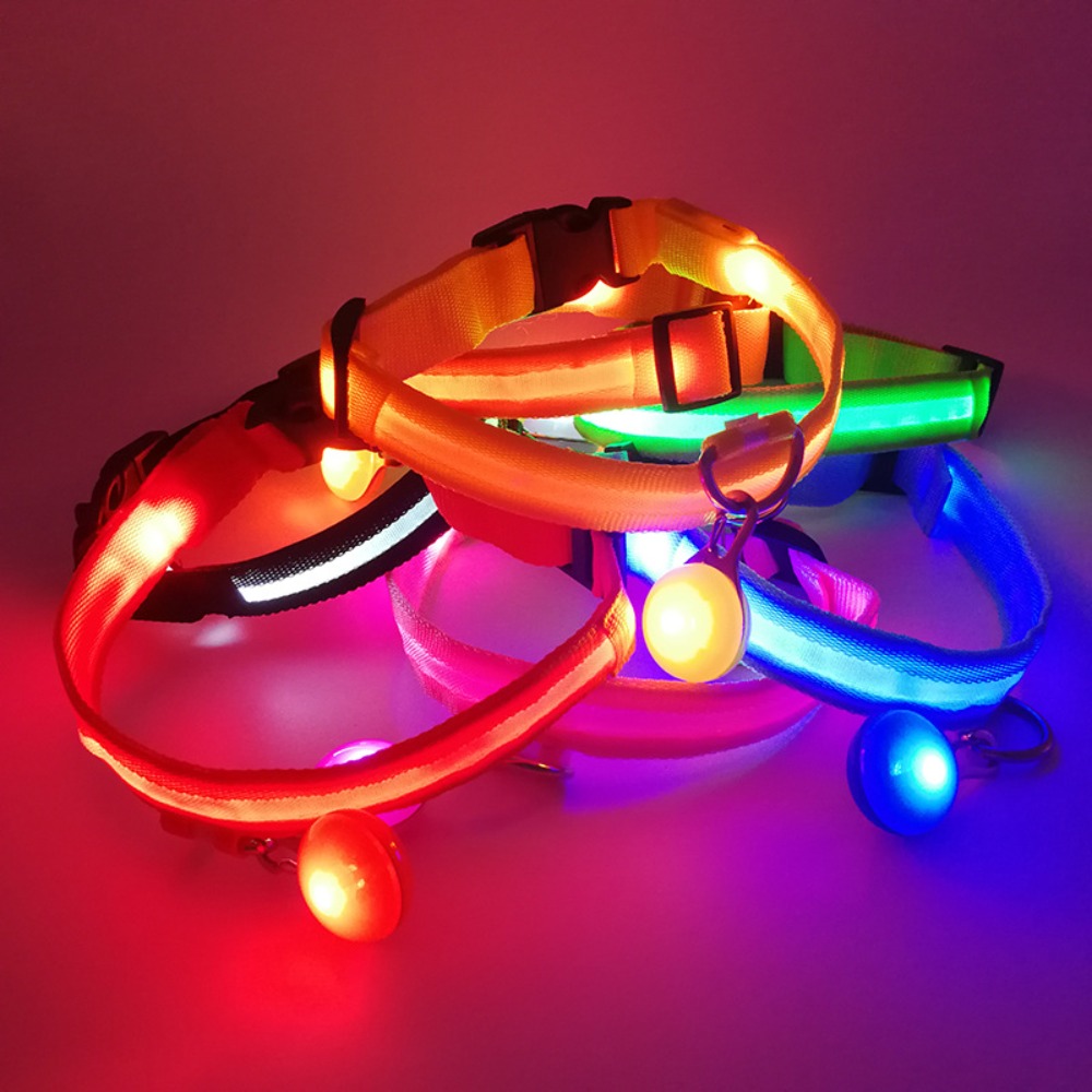 Usb شحن متوهجة طوق بكلاب مع قل - مراجعة Tech Dog Accessories وسعره