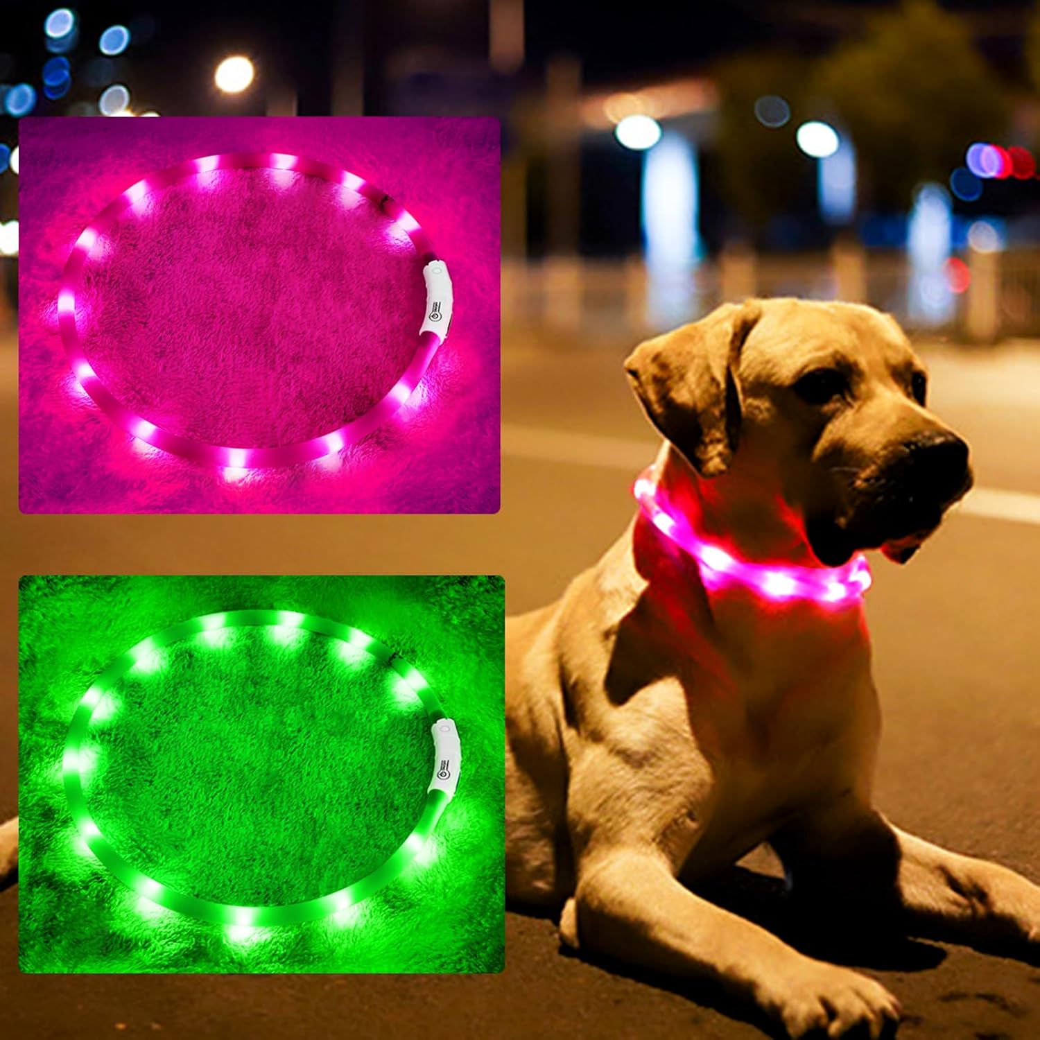 طوق كلب LED من السيليكون، متوه - مراجعة Tech Dog Accessories وسعره