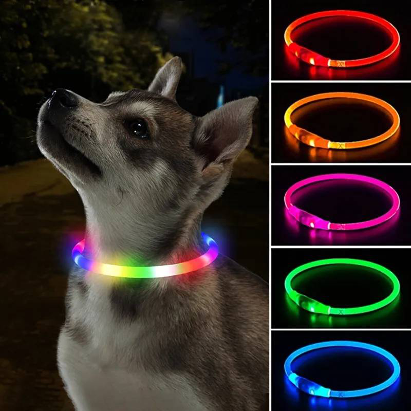 3 طرق الكلب Luminou تهمة طوق L - مراجعة Tech Dog Accessories وسعره