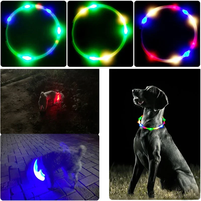 3 طرق الكلب Luminou تهمة طوق L - مراجعة Tech Dog Accessories وسعره