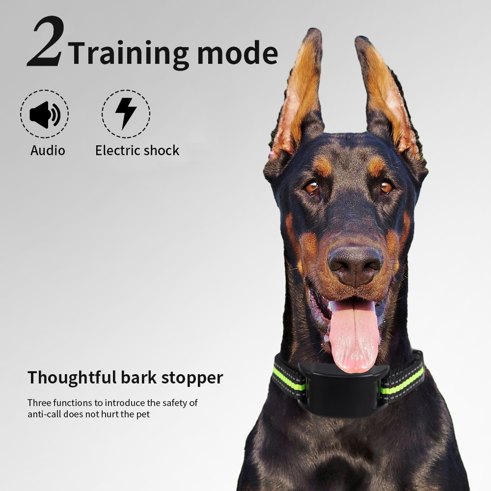 طوق مضاد لنباح الكلاب مع صدمات - مراجعة Tech Dog Accessories وسعره