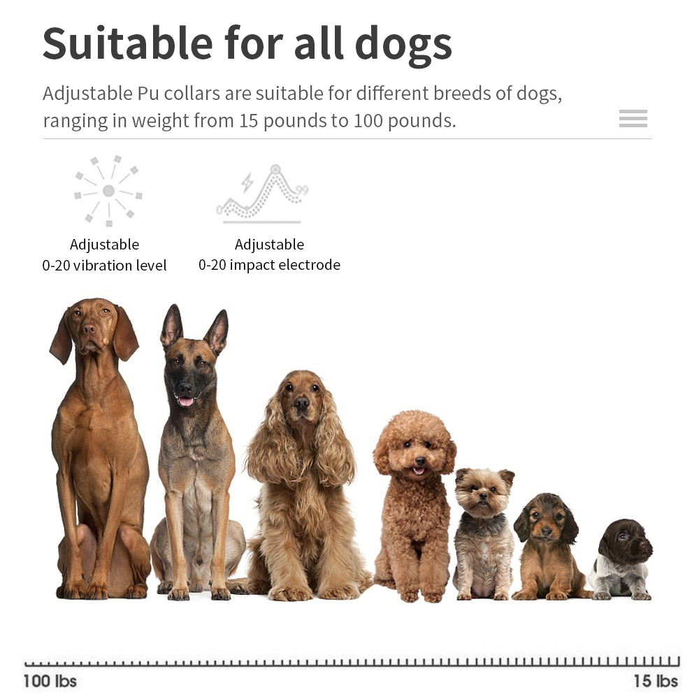 طوق مضاد لنباح الكلاب مع صدمات - مراجعة Tech Dog Accessories وسعره