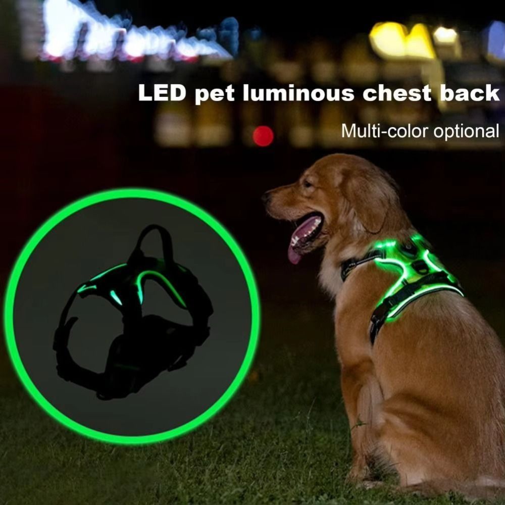 حزام كلب مضيء متين قابل للتعدي - مراجعة Tech Dog Accessories وسعره