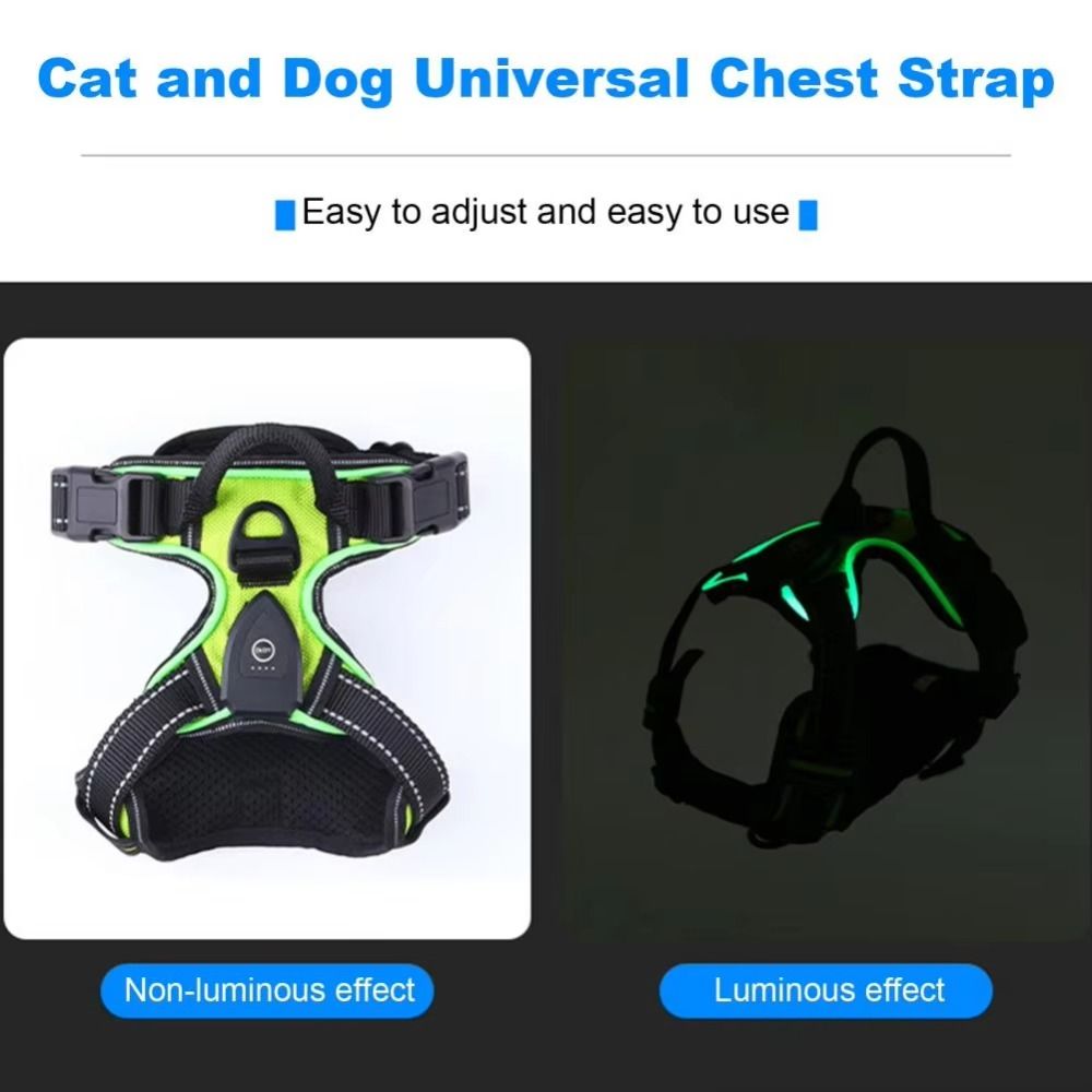 حزام كلب مضيء متين قابل للتعدي - مراجعة Tech Dog Accessories وسعره
