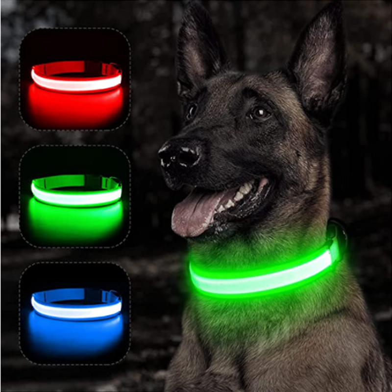 طوق مضيء قابل لإعادة الشحن عبر - مراجعة Tech Dog Accessories وسعره