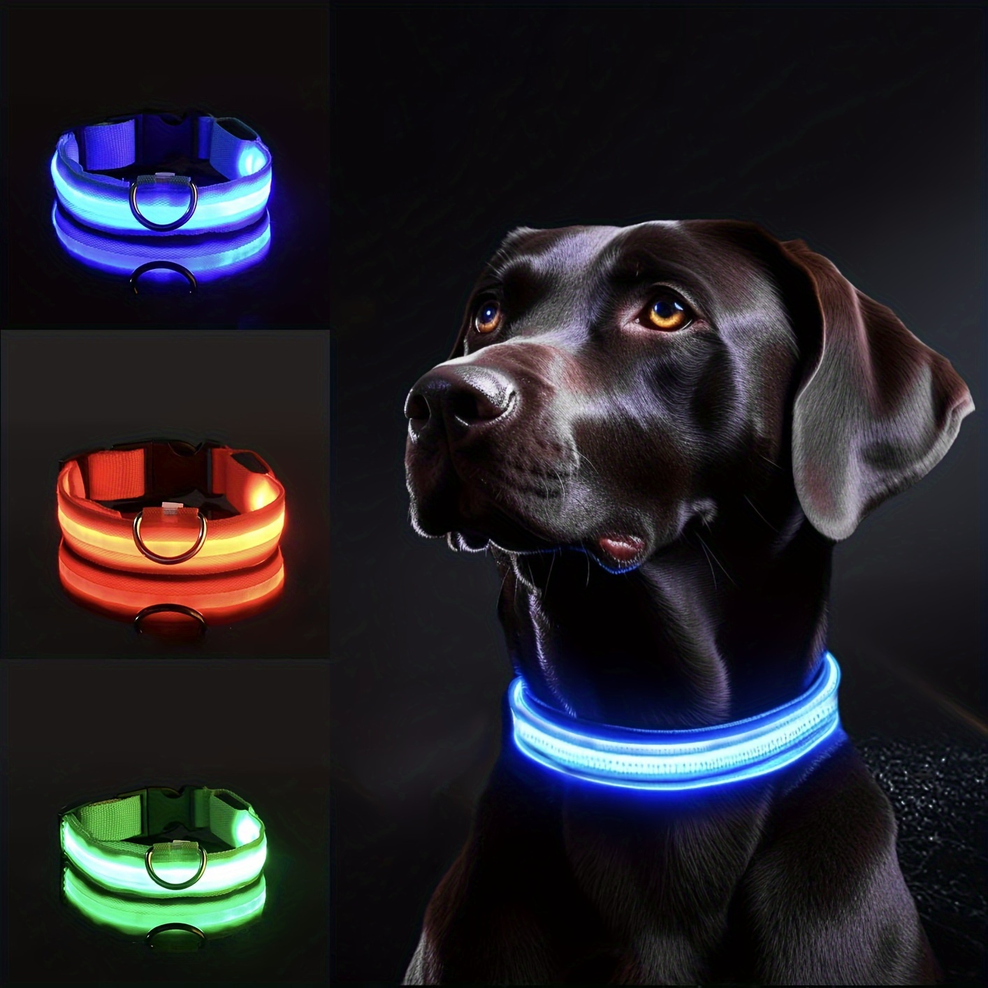طوق كلب عاكس LED للسلامة الليل - مراجعة Tech Dog Accessories وسعره
